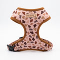 Justin harness